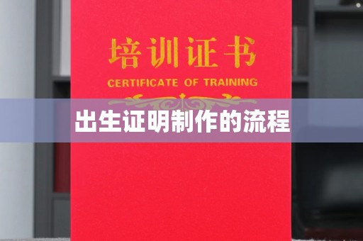 通河出生证明制作的流程