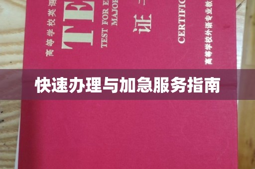 通河快速办理与加急服务指南