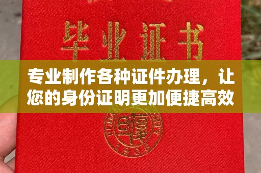 通河专业制作各种证件办理，让您的身份证明更加便捷高效