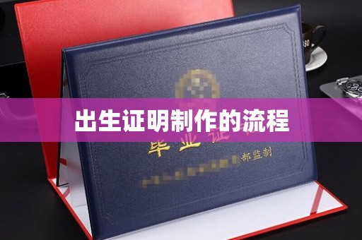 通河出生证明制作的流程