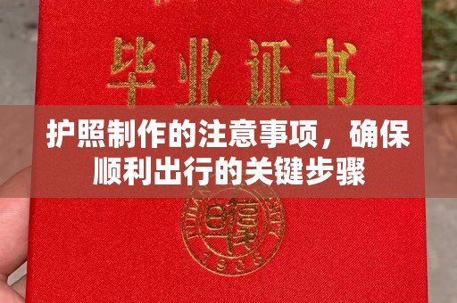 通河护照制作的注意事项，确保顺利出行的关键步骤