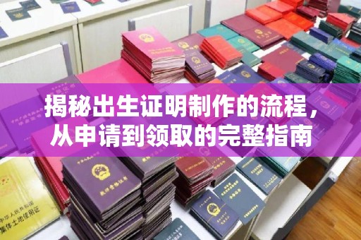 通河揭秘出生证明制作的流程，从申请到领取的完整指南
