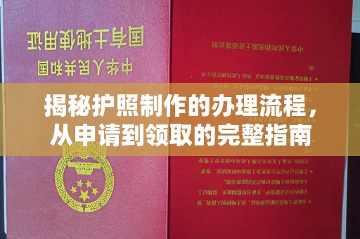 通河揭秘护照制作的办理流程，从申请到领取的完整指南