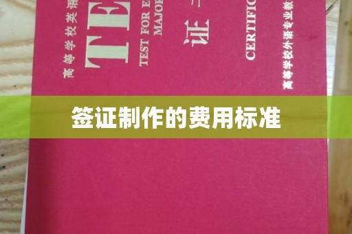 通河签证制作的费用标准