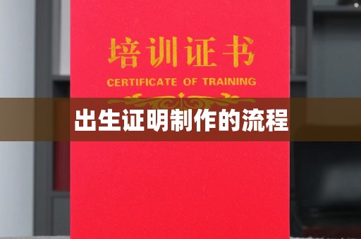 通河出生证明制作的流程