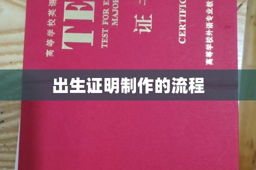 通河出生证明制作的流程